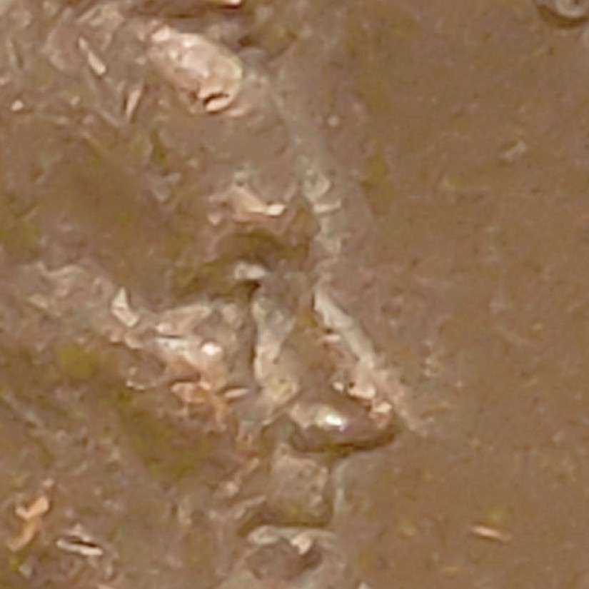 I'm-Seeing-Doubling-In-This-1969-S-Lincoln-Penny-But-Not-Sure-If-It's-MD?